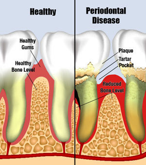 Christopher S. Millsaps General Dentistry